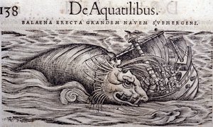 Velryba zničí trup lodi a způsobí její potopení. Rytina n Historia Animalium od Conrada Gesnera (1516 - 1565), Tiguri od Unknown artist