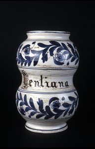 Albarelle: bývalá lékárnická váza ze 16. století s hořcem. Muzeum vědy a techniky, Milán. od Unknown artist