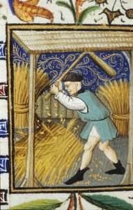 Alegorické zobrazení srpna. Rolník mlátící pšenici. Miniatura rukopisu ze 14. století. od Unknown artist