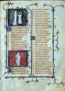 Alegorické znázornění lásky hrající pasti Malebouche, pod postavou abstinenční miniatury v „“Roman de la rose““ od Jean de Meun, Jean de Meung nebo Jean Chopinel, Jean Clopinel (asi 1240-1305), kolem roku 1370. Paříž, Bibliotheque Sainte Ge od Unknown artist