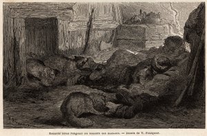 Modré lišky ohlodávají boty námořníků spící v útočišti pozorovací stanice, kresba V. Foulquier, pro ilustraci Spitzbergu od Unknown artist
