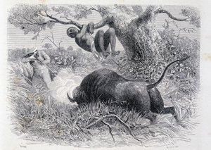 Kapitán Speke loví buvoly – v „“Tour du Monde““ od Unknown artist