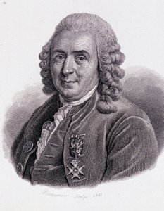Carl Von Linné švédský přírodovědec a spisovatel (1707 - 1778) - v „Portrétu užitečných mužů““ od Unknown artist