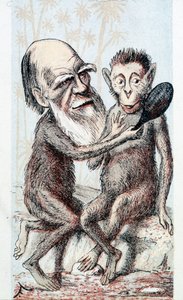 Komedie čerpající z Darwinovy teorie – v „London Sketchbook“ od Unknown artist