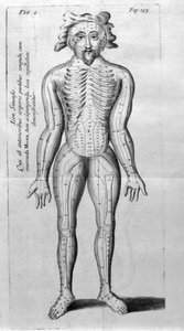 De Acupunctura od W. Ten Rhijna. Londýn 1683. První západní text zabývající se akupunkturou. od Unknown artist