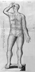 De Acupunctura od W. Ten Rhijna. Londýn 1683. První západní text zabývající se akupunkturou. od Unknown artist
