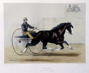 Dexter troteur - v "" Kentaur "" od Unknown artist