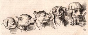 Evoluce psa do lidské podoby od Unknown