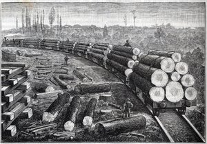 Využití lesů Spojených států. Dočasné dráhy s dřevěnou dráhou. Vozy převážející kmeny stromů. Gravírování do ""La Nature"" od Unknown artist