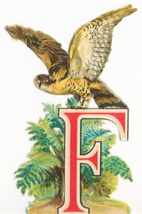 F: Falcon od Unknown artist