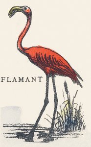 F: plameňák od Unknown artist