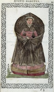 Vlámská Demoiselle - v „“Habits et effigies”” od Jeana Sulperiuse od Unknown artist