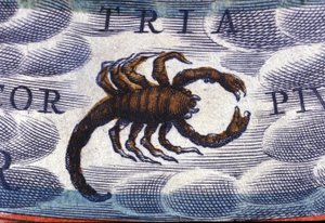 Horoskop: znamení zvěrokruhu, štír. od Unknown artist