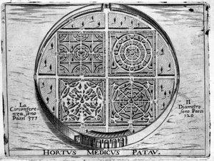 Zahrada Padova: Medická zahrada Padova. od Unknown artist