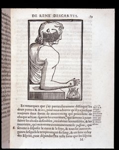 Lidský smyslový systém se propojuje s mozkem – v „Člověk René Descartes a formování plodu“, Paris od Unknown artist
