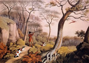 Lov bažantů v Anglii. 19. století rytina. Gien, lovecké muzeum od Unknown artist