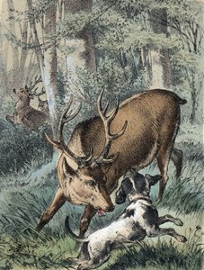 Ilustrace pohádek Franze Hoffmanna "" Pohádky a bajky - "" 2 jeleni"": jeden jelen utíká a druhý bojuje se psem. Chromolitografie 19. století. od Unknown artist