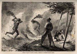 Domorodí kanakové před očima vypravěče a jeho cestovatelského společníka zapálili savanový oheň, který sami zapálili, aby lovili komáry. Rytina k ilustraci plavby do Nové Kaledonie v letech 1863 až 1866 od Julese Garniera, stavebního inženýra od Unknown artist