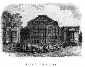 Jardin des Plantes v Paříži v roce 1861: palác opic. od Unknown artist