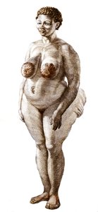 La Venus Hottentote, žena plemene Bochiman (The Hottentot Venus,) rytina z roku 1815. od Unknown artist