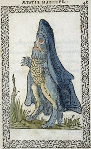 Mořský ježek - v „“Zvycích a podobiznách““ od Jeana Sluperia od Unknown artist