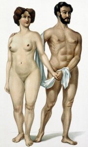 Muž a žena - kniha medicíny, konec 19. století od Unknown artist