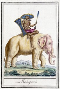 Molucquois muž na slonovi (ostrovy Molucca, Indonésie). od Unknown artist