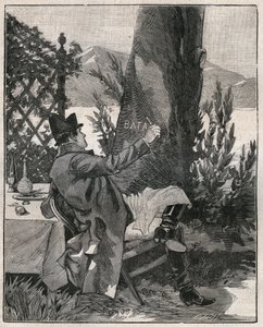 Napoleon Bonaparte (1769-1821) napsal slovo „Battaglia“ na kmen vavřínu na ostrově Isola Bella u jezera Maggiore (Lago Maggiore), tři dny před bitvou u Marenga v roce 1800. Rytina z roku 1885 v „“ Les arts et metiers illustres“ od Unknown artist