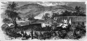 Nová Kaledonie - kajícník ostrova Nou - rytina z roku 1870 od Unknown artist