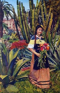 Nicoise. Pohlednice z doby kolem roku 1930. Městský archiv v Nice. od Unknown Artist