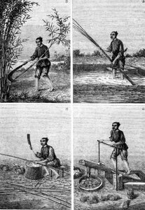 Výroba papíru v Číně v „Zázracích průmyslu“ od Louise Figuiera, Paříž od Unknown artist