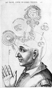 Fyziognomický obrázek (frenologie) z The Collected Works of Robert Fludd (Robertus de Fludd). Londýn 1617 od Unknown artist