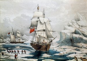Polární expedice v Arktidě: Anglické a americké lodě uvězněné v ledu (tisk z 19. století) od Unknown artist