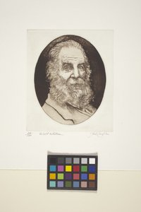 Portrét Walta Whitmana (inkoust, tisk) od Unknown artist