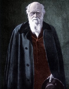 Portrét Charlese Darwina, britského přírodovědce (1809 - 1882) od Unknown artist