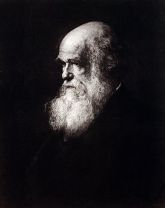 Portrét Charlese Roberta Darwina (1809 - 1882) od Unknown artist
