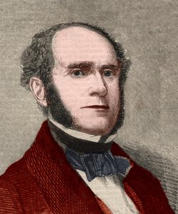 Portrét Fitz-Greene (Fitz Greene) Halleck (1790-1867), americký básník. Gravírování do „“ The illustrated London News““ z 23. ledna 1858. od Unknown artist