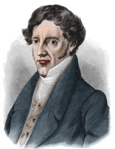 Portrét Franze Grillparzera (1791-1872), rakouského dramatika. od Unknown artist
