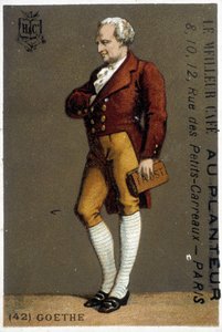 Portrét Goetha. Kresba sd. 19. století. Portrét Goetha v nohách. Kresba sd. 19. století. od Unknown artist