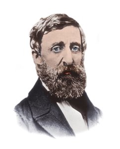 Portrét Henryho Davida Thoreaua (1817-1862) - americký esejista, básník, filozof, abolicionista, přírodovědec, daňový odpůrce, kritik rozvoje, zeměměřič a historik od Unknown artist
