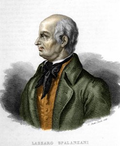 Portrét Lazzaro Spalanzani (nebo Spallanzani), italský biolog (1729 - 1799) od Unknown artist