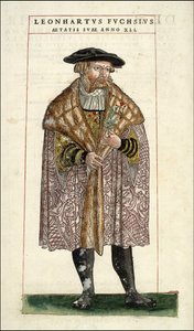 Portrét Leonharta Fuchse: Botanik - německý lékař (1501 - 1566) - v "Dějiny stirpia s komentáři k odznakům,..." od Leonharta Fuchse od Unknown artist