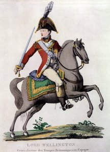 Portrét lorda Wellingtona (1769 - 1852), generála britských vojsk ve Španělsku. od Unknown artist