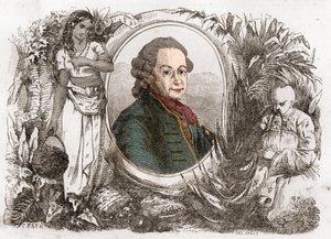 Portrét Pierra Poivreho (1719-1786), francouzského koloniálního správce a agronoma. od Unknown artist