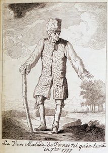 Portrét Voltaira (1694 - 1778), francouzského spisovatele a filozofa, staršího věku. od Unknown artist