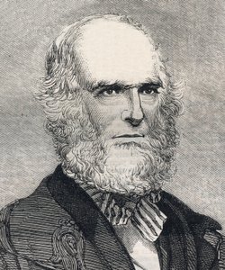 Portrét Williama Cullena Bryanta (1794-1878), amerického básníka. Gravírování do „“ The illustrated London News““ z 23. ledna 1858. od Unknown artist