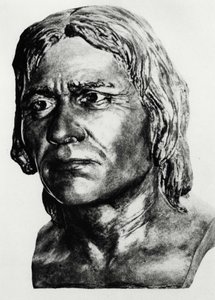 Pravěk: rekonstrukce kromaňonského muže (busta), po Mac Grégorovi. od Unknown artist