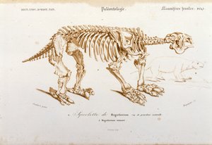 Pravěk: kostra megatheria (suchozemského lenocha z čeledi slonů) fosilního savce. Paleontologická deska převzatá z „Dictionnaire universel d