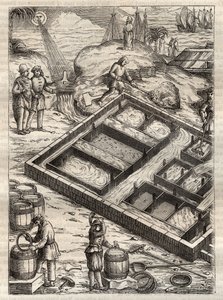 Výroba soli odpařováním mořské vody v solných pánvích. Z „“De re metallica““ od Georgiuse Agricoly (Georg Bauer). (Basilej 1556) - Výroba soli: mořská voda nalitá do velkých misek se odpařuje a zanechává zásobu soli. Rytina z „“De re metallica““ od G od Unknown artist