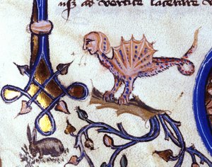 Znázornění fantastického zvířete mi man mi dragon. Miniatura rukopisu ze 14. století od Unknown artist